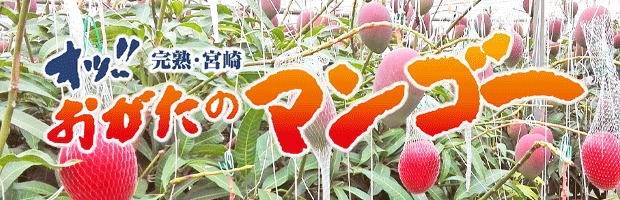 おがたのマンゴー